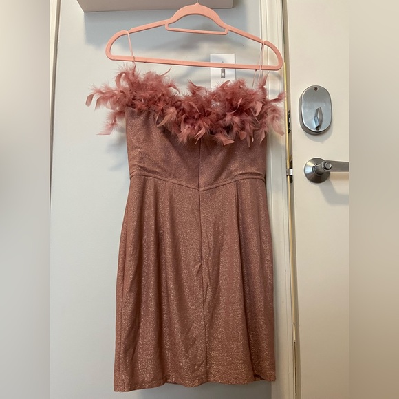 Pink Shimmer Dress with Feathers - Picture 2 of 3